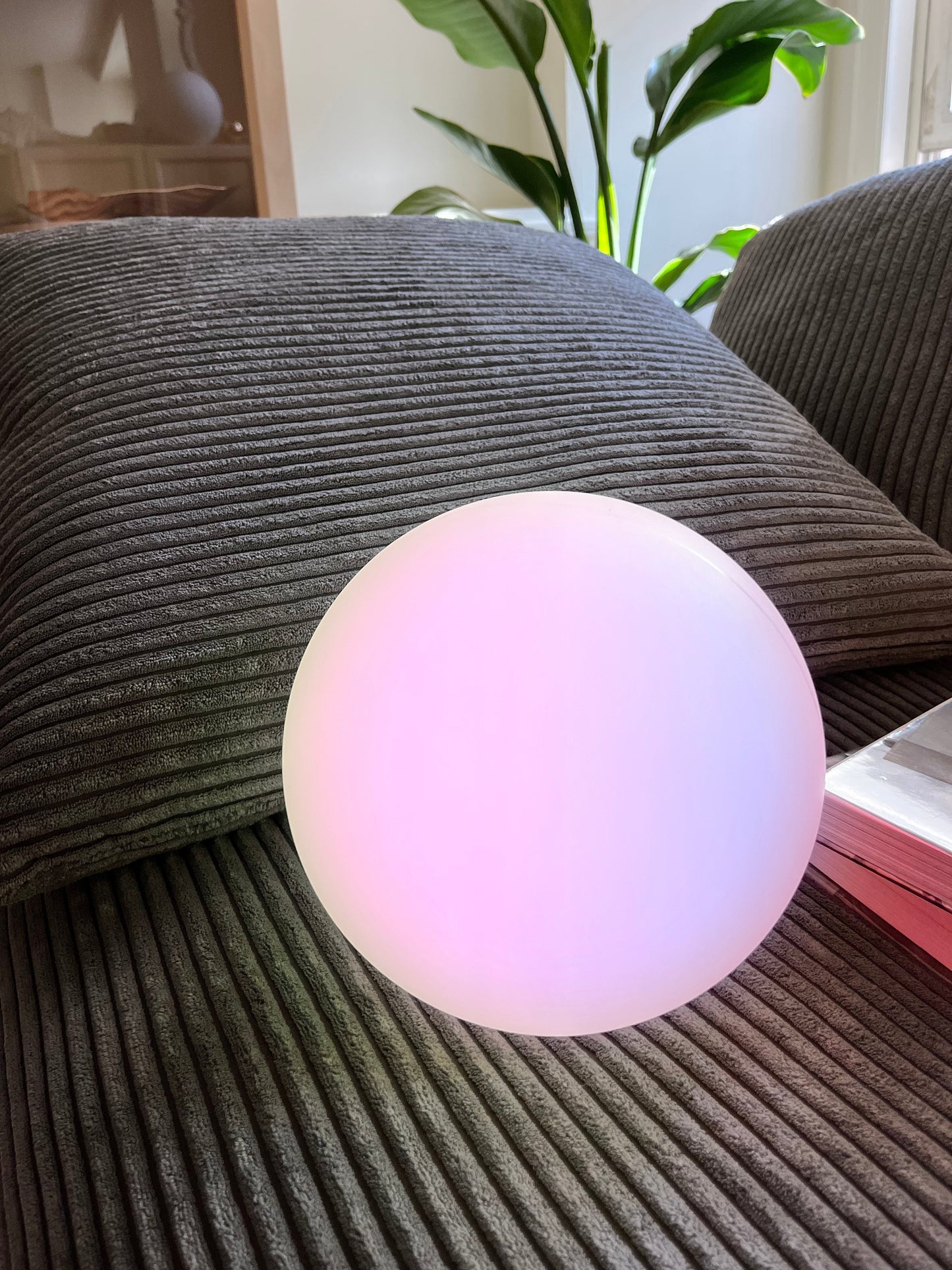 Compact Portable LED Desk Lamp