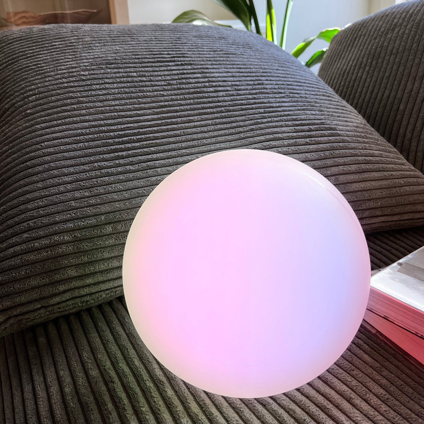 Compact Portable LED Desk Lamp - Cofik