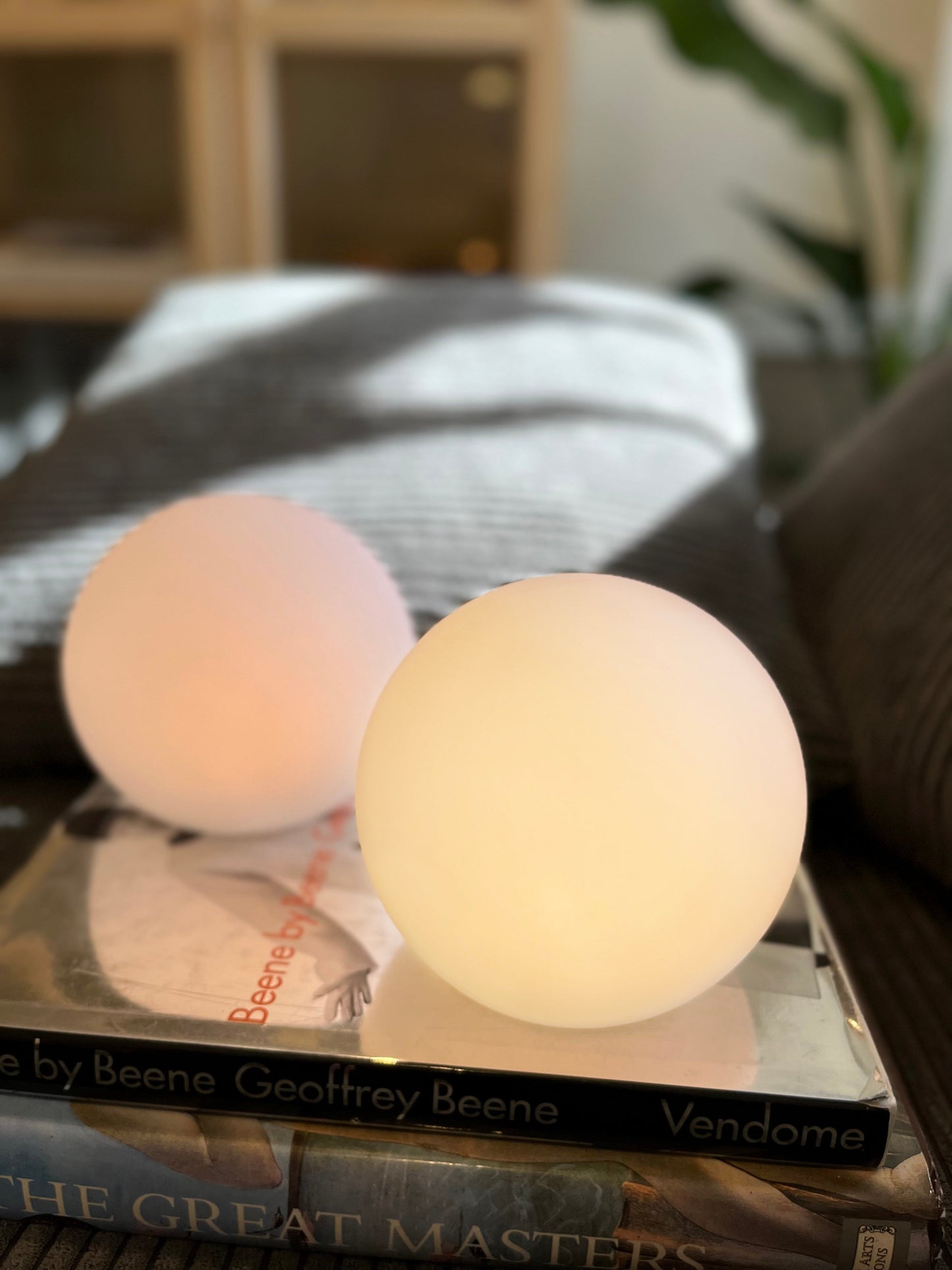 Compact Portable LED Desk Lamp