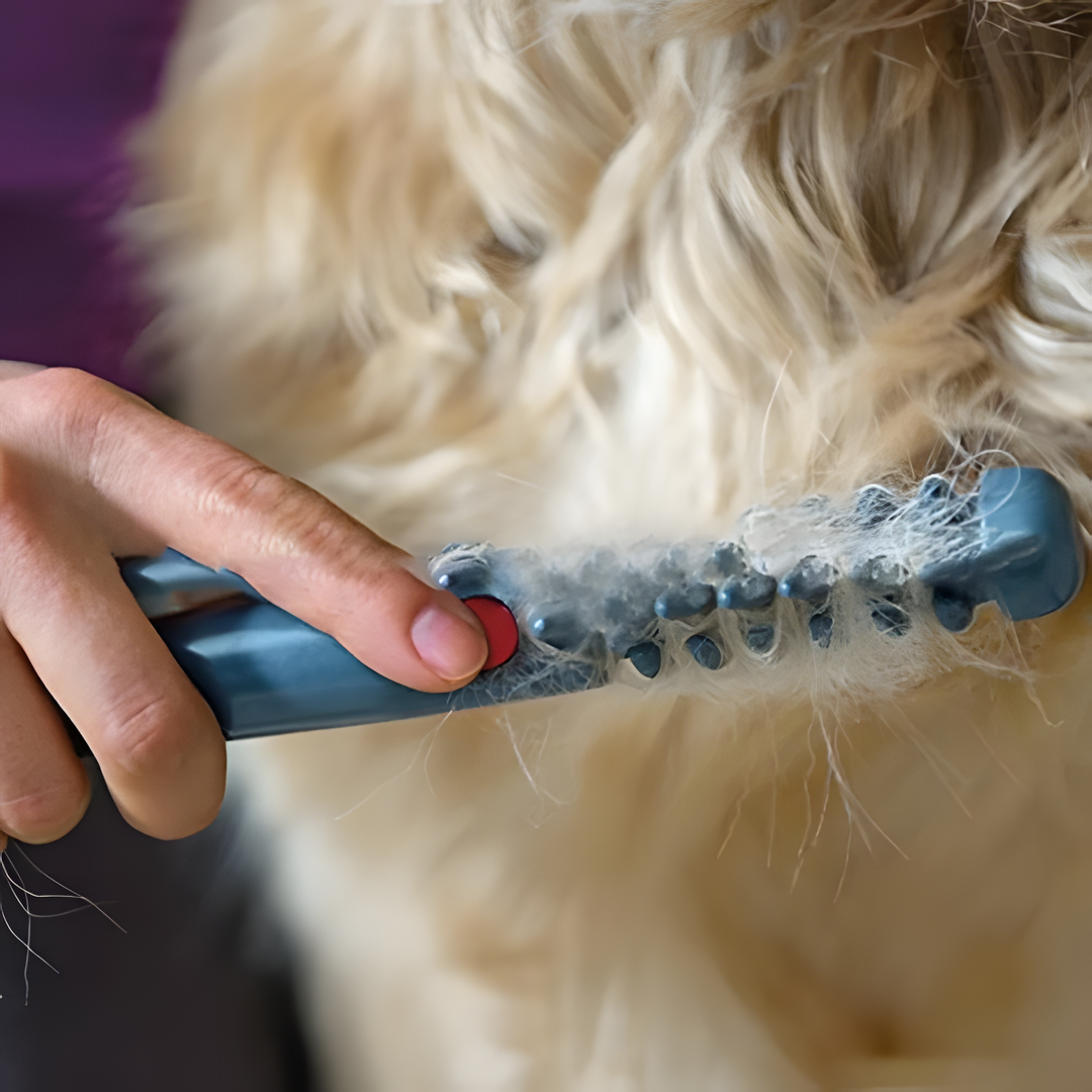 Easy Pet Grooming Clipper for Dogs and Cats