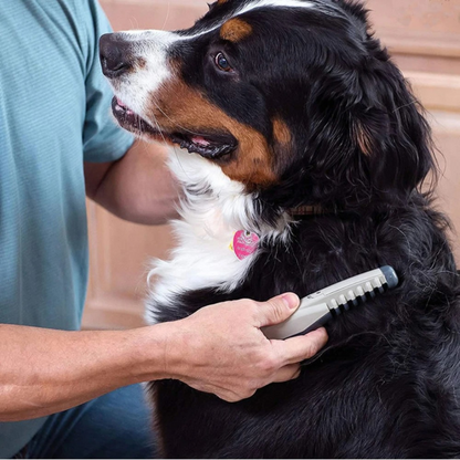 Easy Pet Grooming Clipper for Dogs and Cats