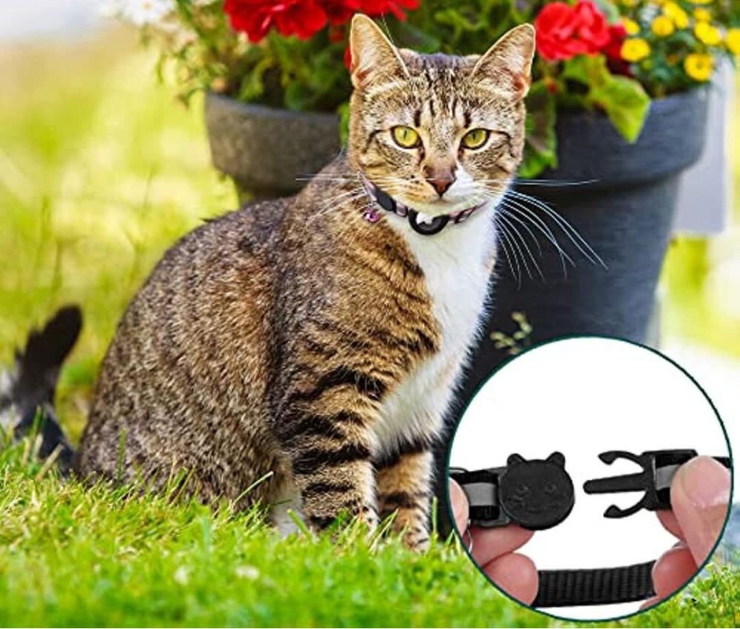 Pet GPS Tracker Collar for Cats