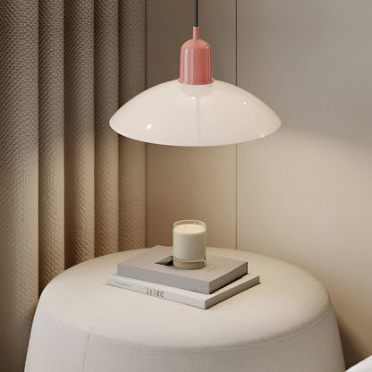 Industrial Metal Pendant Lighting Fixture