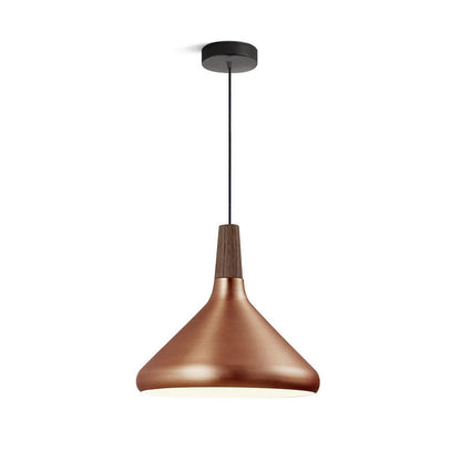 Stylish Metal Wooden Pendant Lamp