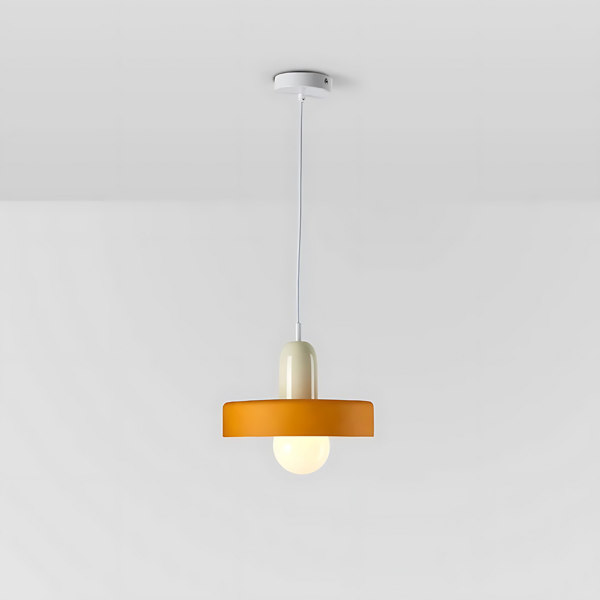 Elegant Metal Glass Pendant Light