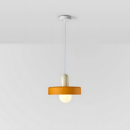Elegant Metal Glass Pendant Light