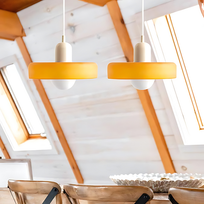 Elegant Metal Glass Pendant Light