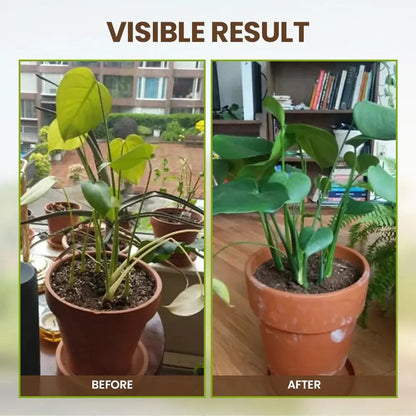 Natural Soil Booster for Healthy Plant Growth