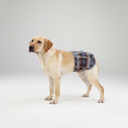 Comfortable Dog Leg Support Harness