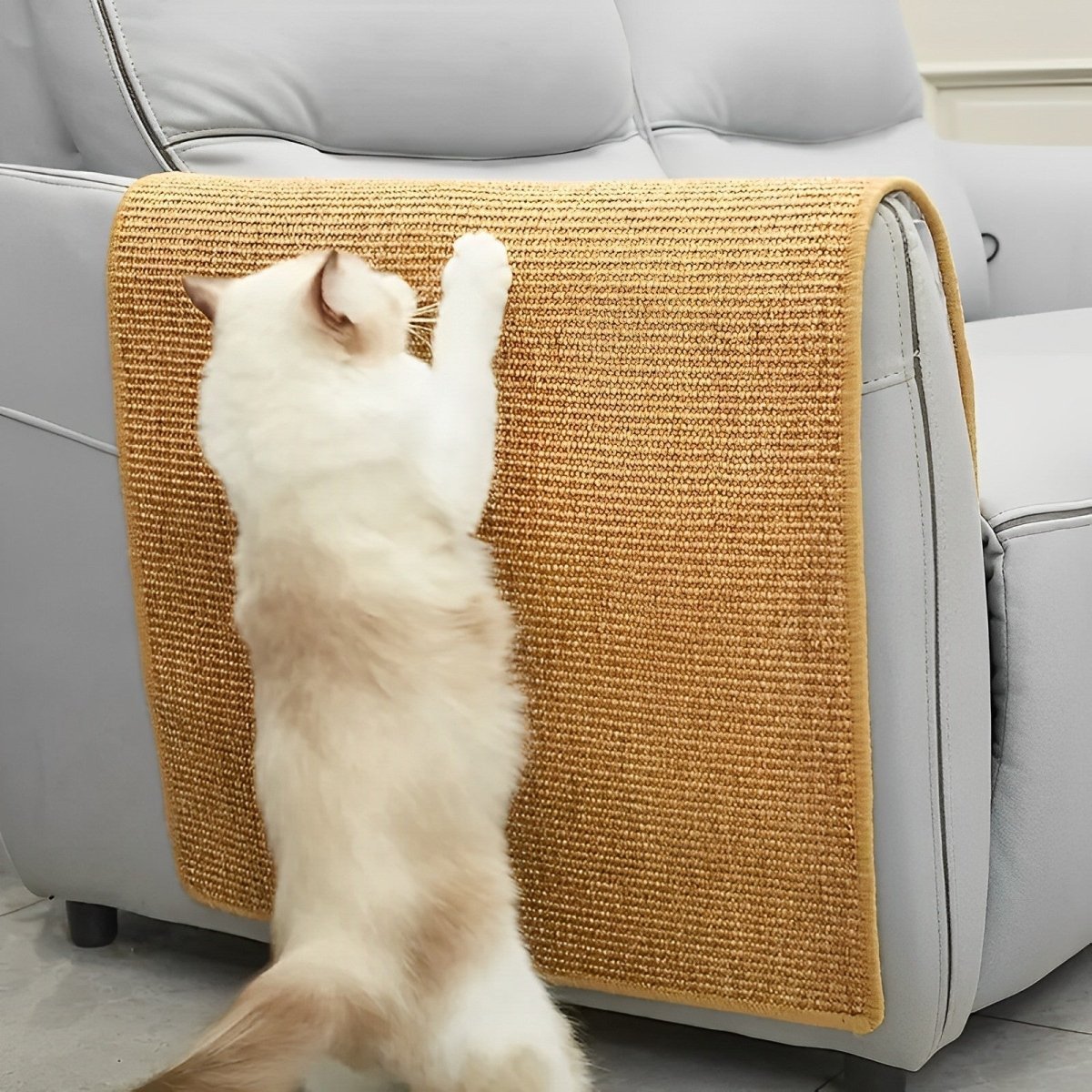 Pet Fun Cat Scratcher Post for Claw Health - Cofik
