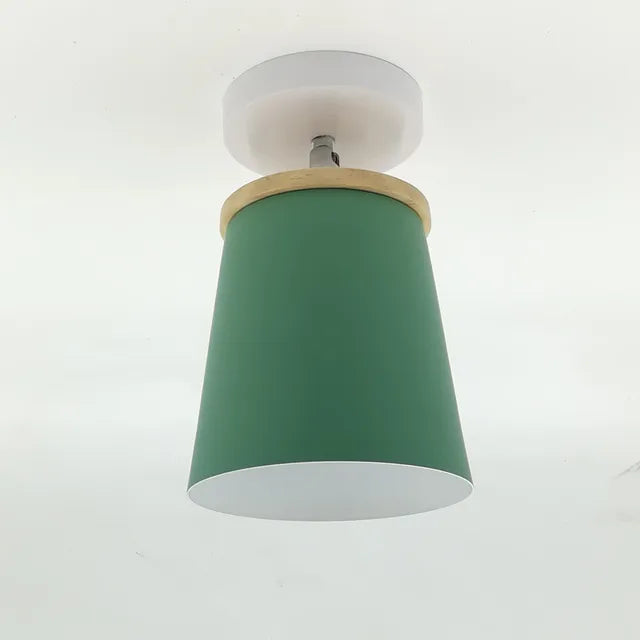 Pastel Shade Hanging Lamp