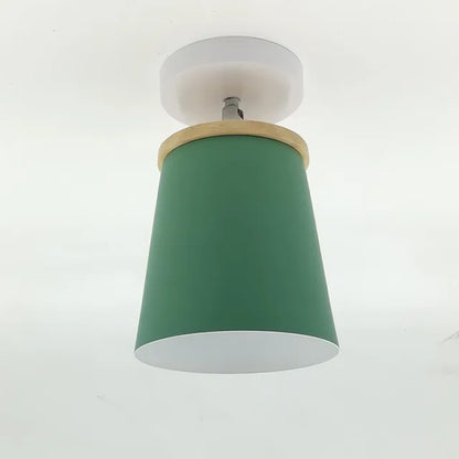 Pastel Shade Hanging Lamp