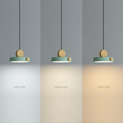 Delicate Pastel Mini Drop Pendant Light