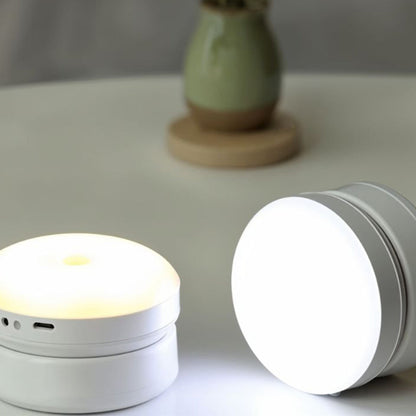 Automatic Bright Motion Activated LED Light