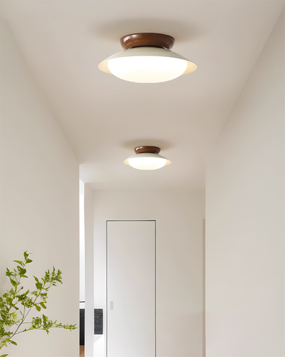 Modern Round LED Bathroom Ceiling Light Fixture