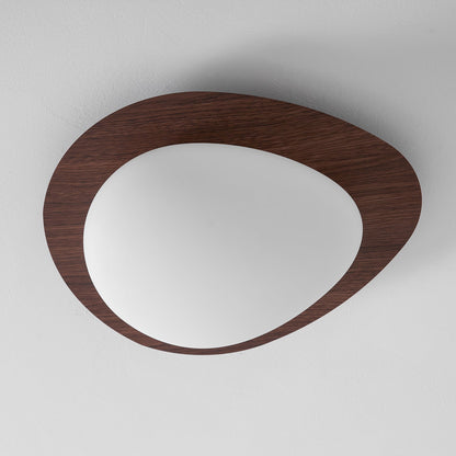 Compact LED Ceiling Lamp 12W Wooden Flush Mount