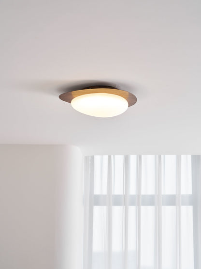 Compact LED Ceiling Lamp 12W Wooden Flush Mount