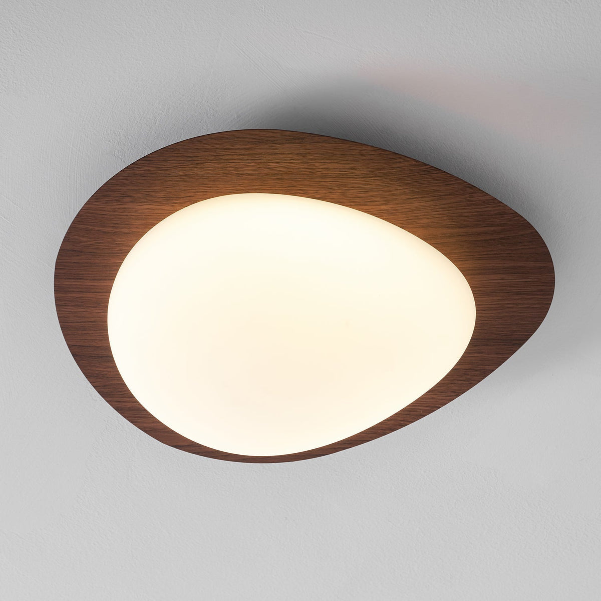 Compact LED Ceiling Lamp 12W Wooden Flush Mount