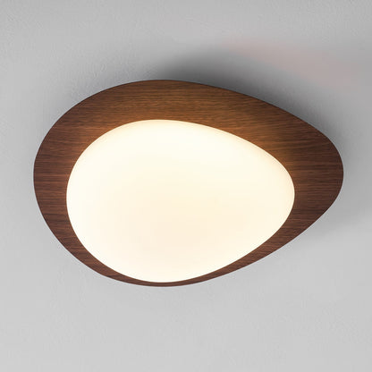 Compact LED Ceiling Lamp 12W Wooden Flush Mount