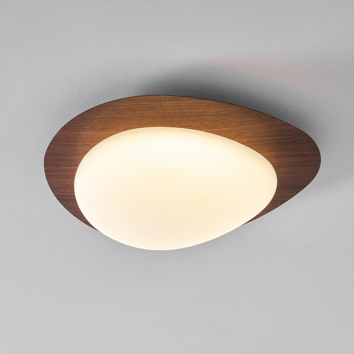 Compact LED Ceiling Lamp 12W Wooden Flush Mount