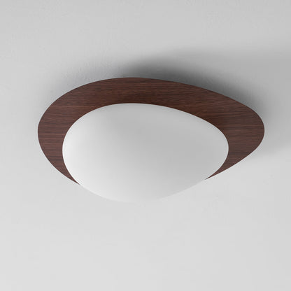 Compact LED Ceiling Lamp 12W Wooden Flush Mount
