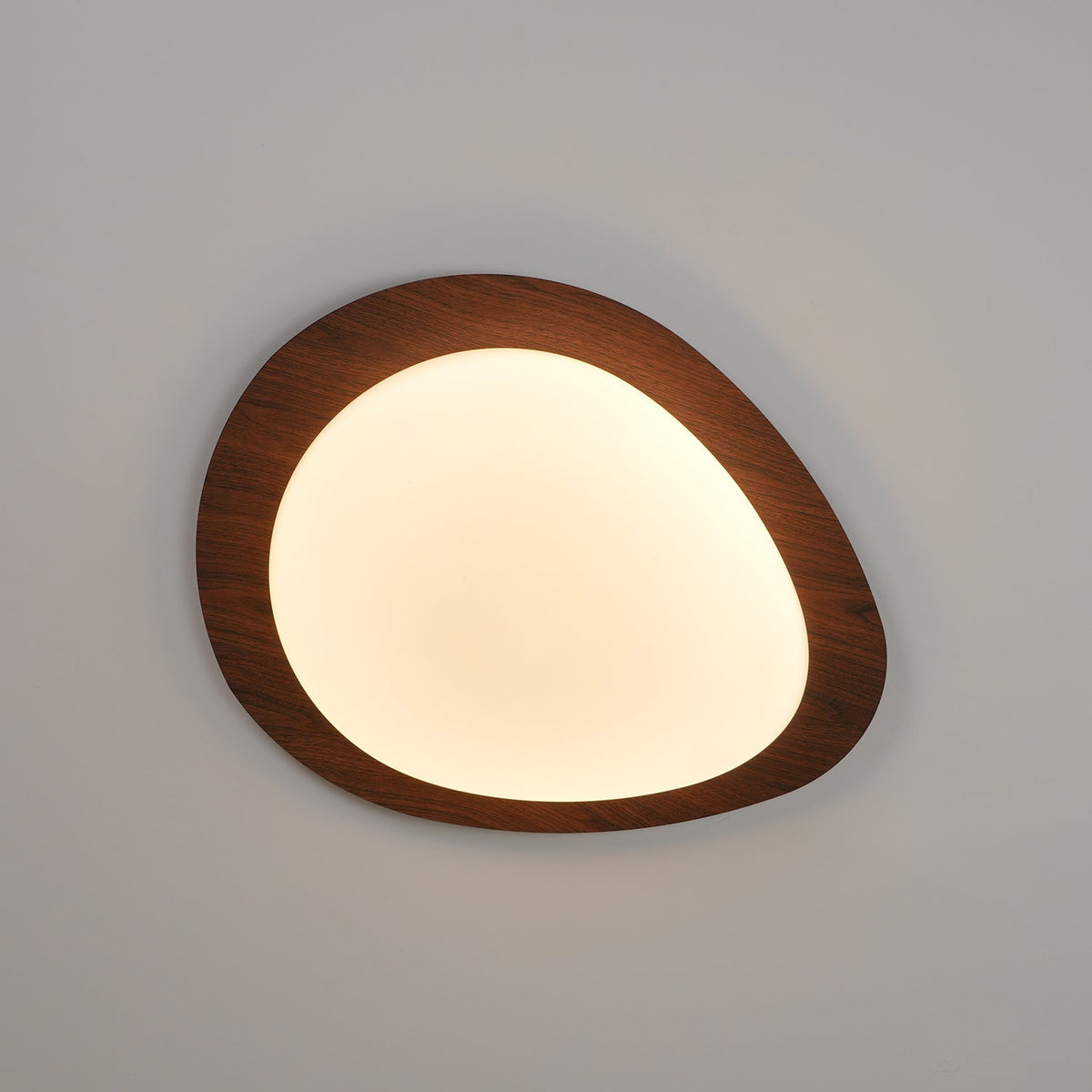 Compact LED Ceiling Lamp 12W Wooden Flush Mount