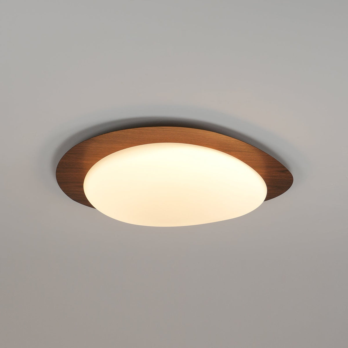 Compact LED Ceiling Lamp 12W Wooden Flush Mount