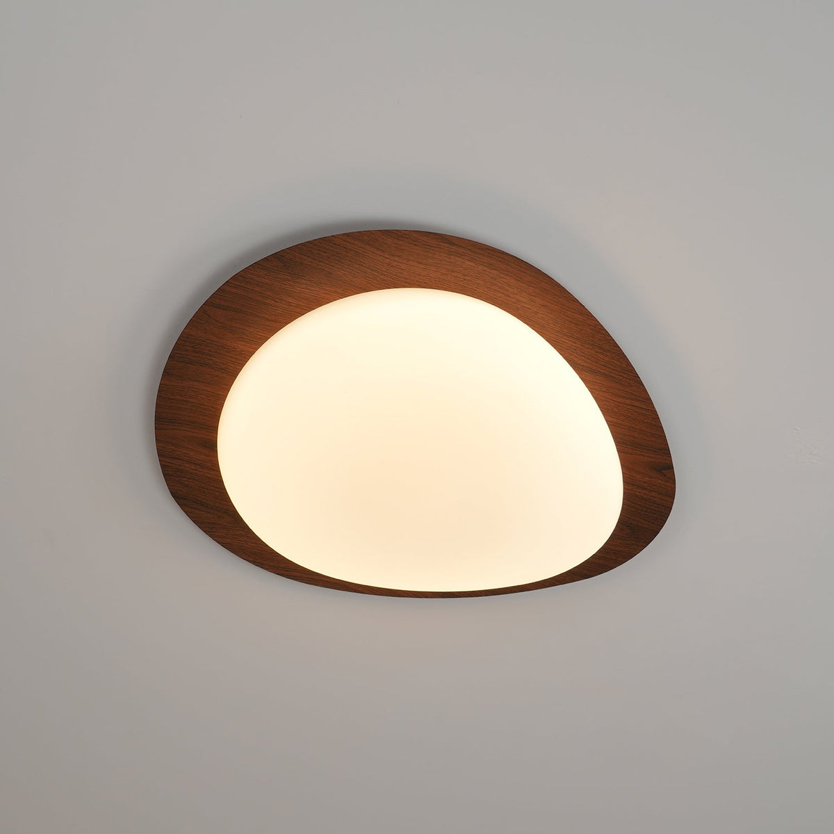 Compact LED Ceiling Lamp 12W Wooden Flush Mount