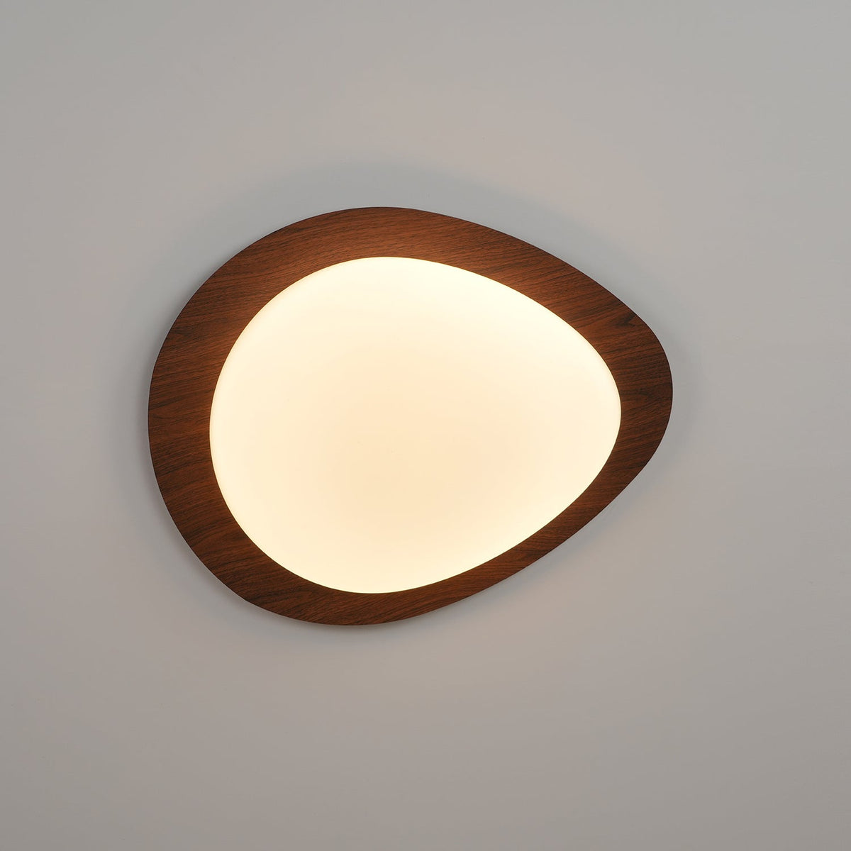 Compact LED Ceiling Lamp 12W Wooden Flush Mount
