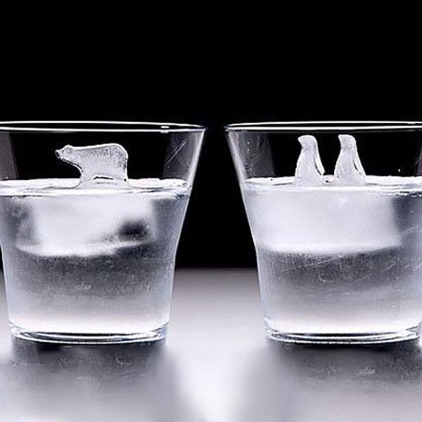 Fun Animal Ice Cube Molds Set - Cofik
