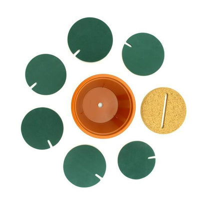 Small Succulent Plant Coasters