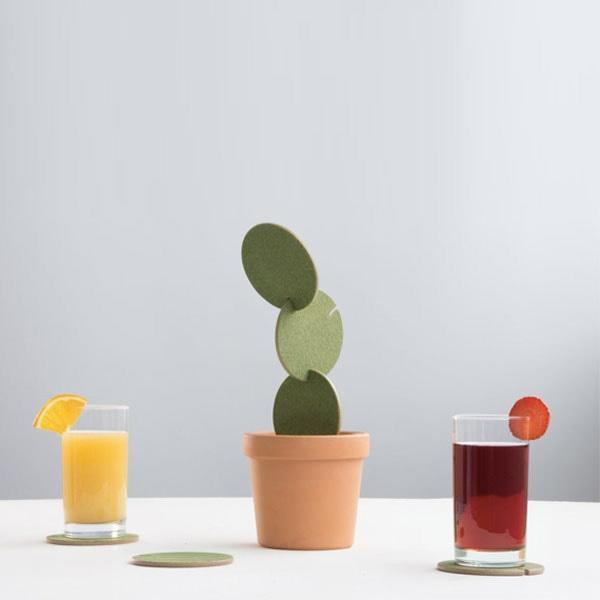 Small Succulent Plant Coasters