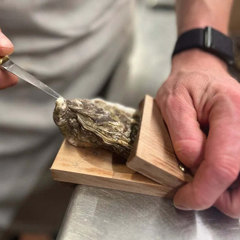 Sturdy Wooden Oyster Shell Opener Clamp