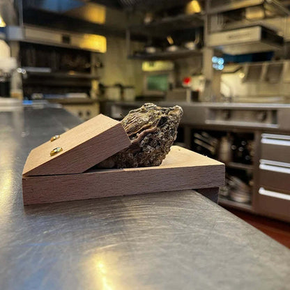 Sturdy Wooden Oyster Shell Opener Clamp