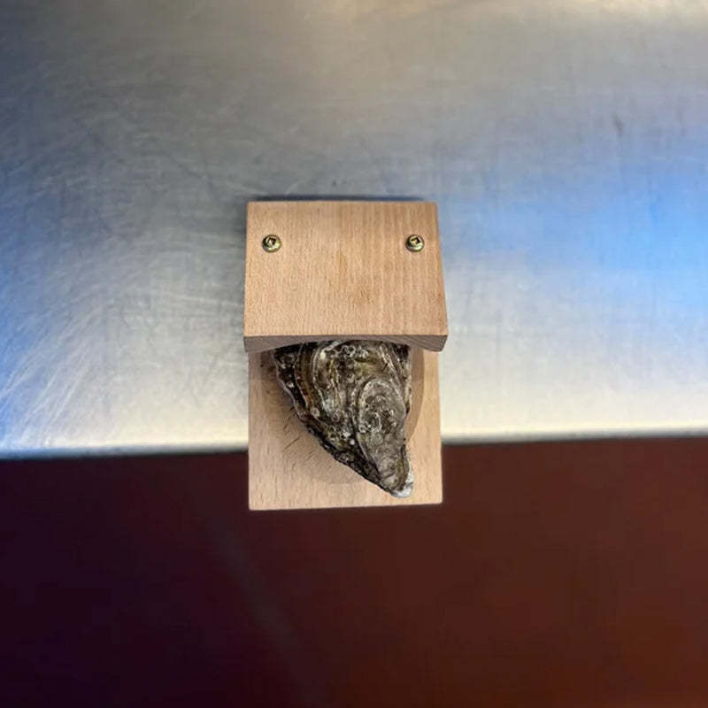 Sturdy Wooden Oyster Shell Opener Clamp