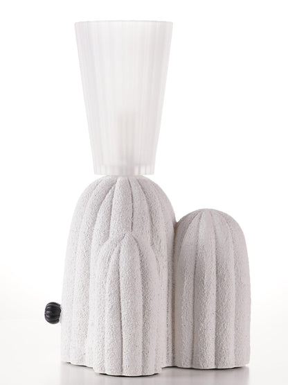 Unique Desert Table Lamp