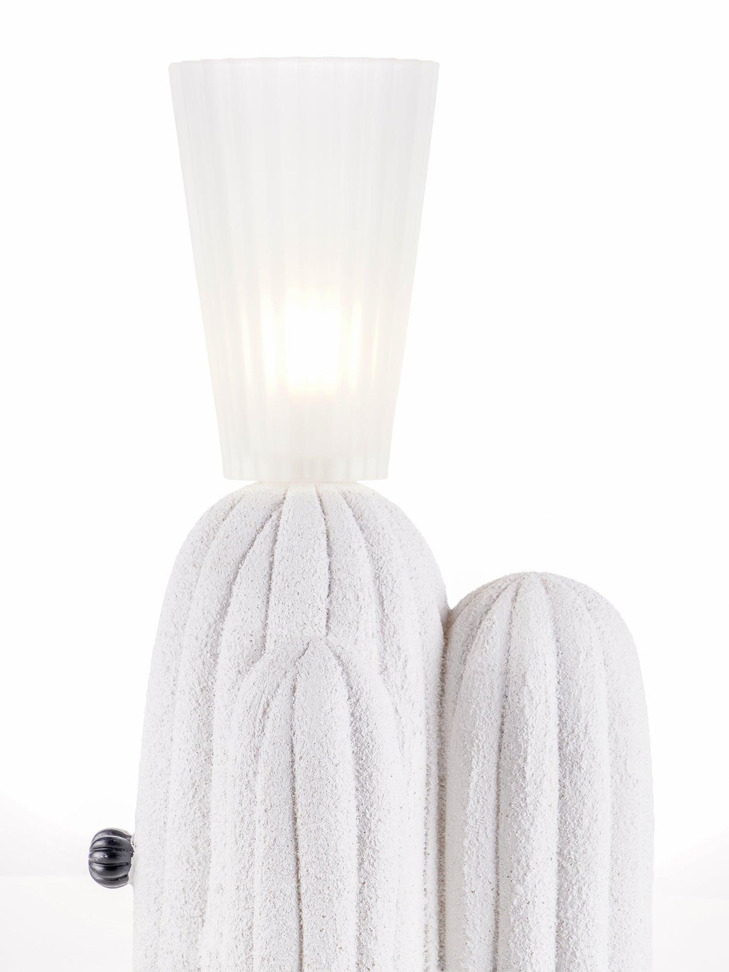 Unique Desert Table Lamp