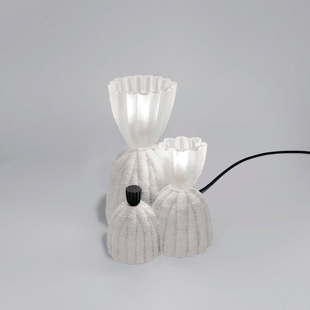 Unique Desert Table Lamp