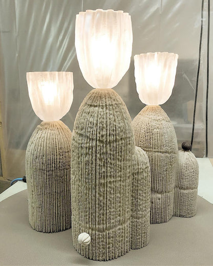 Unique Desert Table Lamp