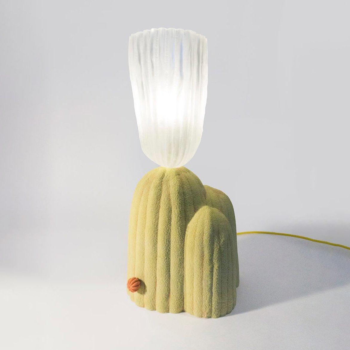 Unique Desert Table Lamp