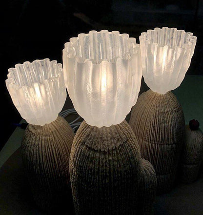 Unique Desert Table Lamp