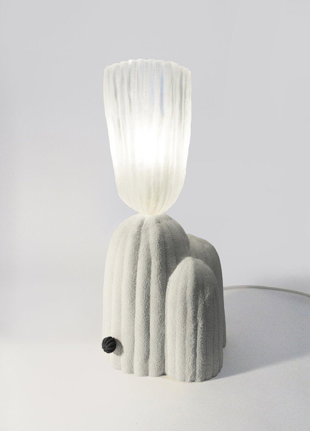 Unique Desert Table Lamp