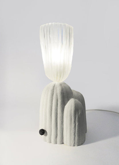 Unique Desert Table Lamp