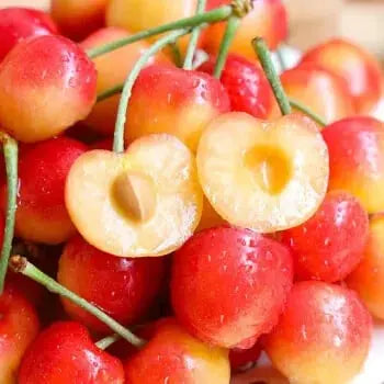 Delicious Cherry Seeds for Planting