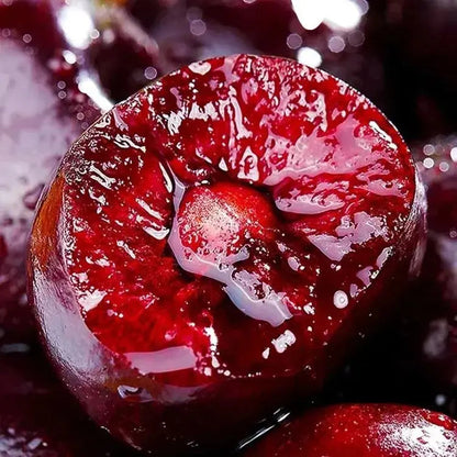 Delicious Cherry Seeds for Planting