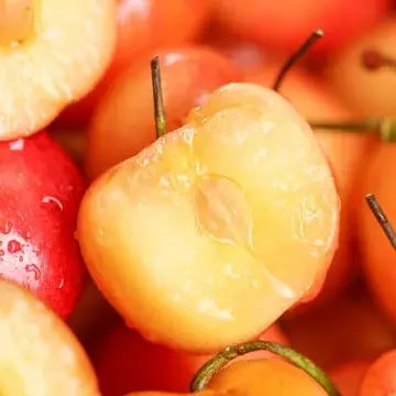 Delicious Cherry Seeds for Planting
