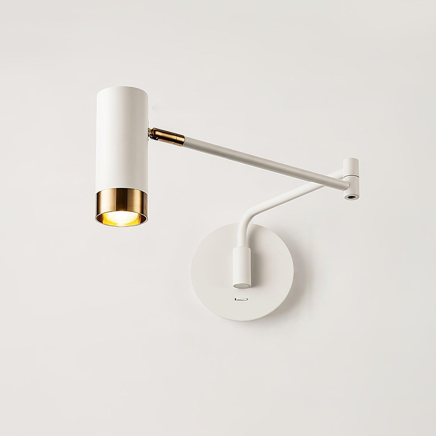 Adjustable Arm Wall Light | Noxord