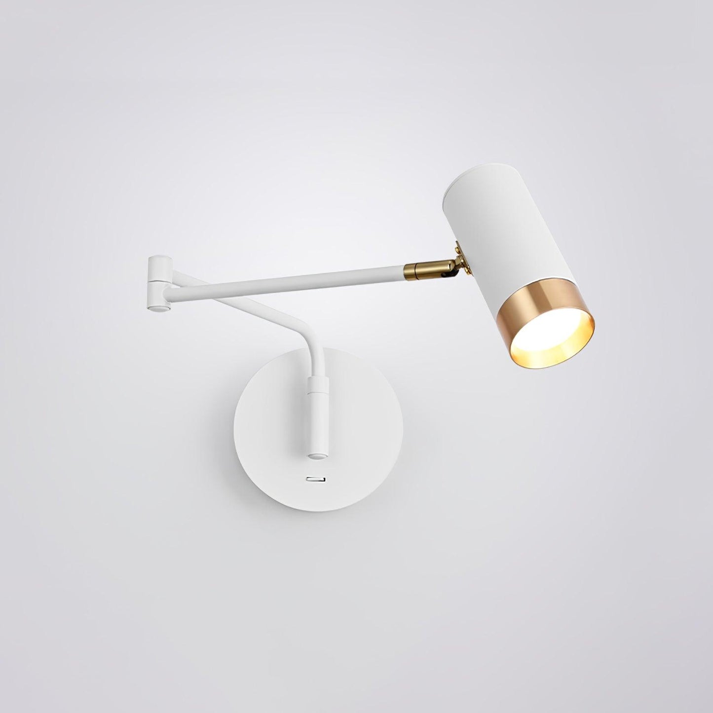 Adjustable Arm Wall Light | Noxord