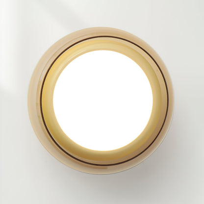 Soft LED Ceiling Light Fixture 12W Warm White