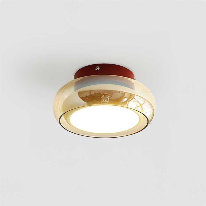 Soft LED Ceiling Light Fixture 12W Warm White